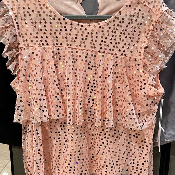Lauren Conrad Pink Sequin Ruffle Top - Picture 6 of 7